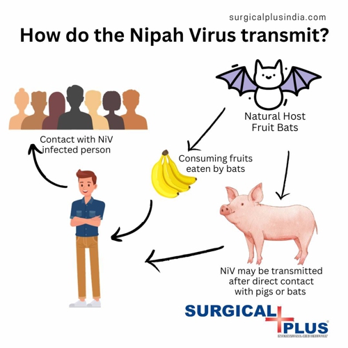 Know About Nipah Virus